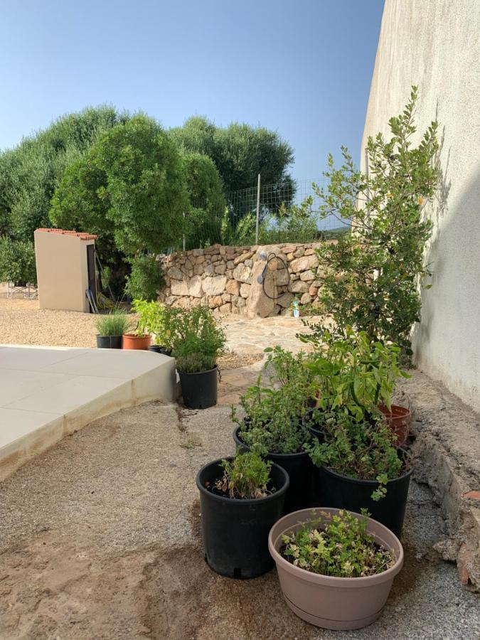 Stazzu Nuraghe Mannucciu Vendégház Rena Majore Kültér fotó